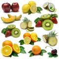 Fruit Sampler 6