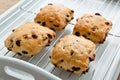 Fruit scones on a cooling tray Royalty Free Stock Photo