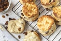 Fruit Scones on Rack Top View Royalty Free Stock Photo
