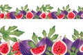 Fruit seamless fig border. Halves, whole, pieces of purple figs with leaves. Hand-drawn marker and watercolor illustration. Royalty Free Stock Photo