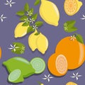 Fruit seamless pattern with lemons, limes, oranges