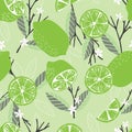 Fruit seamless pattern, lime with branches, leaves and flowers on light green background. Summer vibrant design. Exotic tropical Royalty Free Stock Photo