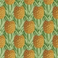 Fruit seamless pattern with whole ripe pineapples Royalty Free Stock Photo