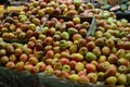 Fruit Section at Hyperstar Supermarket