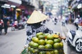 Fruit seller in Hanoi Royalty Free Stock Photo