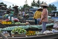 Fruit seller in the Mekong delta, Vietnam Royalty Free Stock Photo