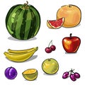 Fruit set of hand-drawn