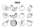 Fruit set, line art icons. Banana, strawberry, mango, lemon and other fruits. Black outline vector