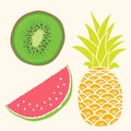 Fruit set. Mango, watermelon, pineapple Royalty Free Stock Photo