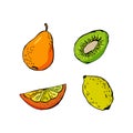 Fruit set of pear kiwi orange slice lemon and leaves for fruit juice Royalty Free Stock Photo