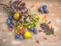 Fruit set of pears, grapes and prunes surrounded by colorful autumn leaves Royalty Free Stock Photo