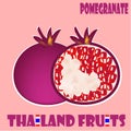 Fruit set : Pomegranate from Thailand