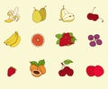 Fruit set sketch Royalty Free Stock Photo