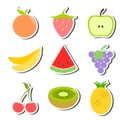 Fruit Set Stickers