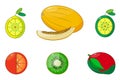 Set of stylized fruits. Melon, lemon, lime, orange, kiwi and mango isolated on a white background.