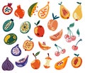 Fruit Set. Tropical fruits, pomegranate, cherry, pear, apple, kiwi, peach, mango, fig, papaya. Sweet healthy food. Vector cartoon Royalty Free Stock Photo