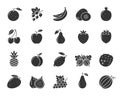 Fruit berry food black silhouette icon vector set Royalty Free Stock Photo