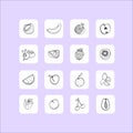 Fruit set. Fruit sketch Royalty Free Stock Photo