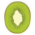 Fruit slice, half a kiwi. Isolated element, object on a white background. Ripe useful. Organic, eco. Drawn by hands Royalty Free Stock Photo