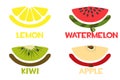 Fruit slices icons, fresh lemon, apple, kiwi, watermelon. Royalty Free Stock Photo