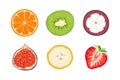 Fruit slices isolated on white. Vector illustration of orange, kiwi, mangosteen, fig, banana and strawberry