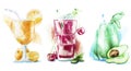 Fruit smoothies or milkshakes decorated with fruit and drinking straws isolated on white hand drawn watercolor Royalty Free Stock Photo