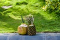 Fruit smoothies from pineapple and coconut on a background of green grass Royalty Free Stock Photo