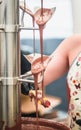 Fruit on a stick being dipped in Chocolate fountain Royalty Free Stock Photo