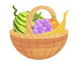 Fruit straw basket with handle vector flat fresh agricultural harvest summer delicious dessert