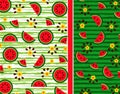 Fruit stylish pattern of watermelons, its slices, seeds and flowers on an original background with a striped watermelon texture fo Royalty Free Stock Photo