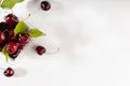 Fruit summer snack - fresh wet ripe red cherries with green leaves in transparent box package in soft light white wood board. Royalty Free Stock Photo