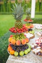 Fruit Table at Yard