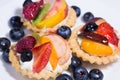 Fruit tart with custard cream and fresh blueberry, strawberry, r Royalty Free Stock Photo