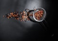 Fruit tea of dried flowers petals and dry berries with strainer or infuser -  filter i Royalty Free Stock Photo