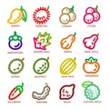 Fruit thin line icon