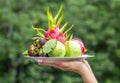 Fruit tray