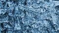 Fruit tree bark closeup. Abstract natural wallpaper. Blue tinted background with a rich texture. Macro Royalty Free Stock Photo
