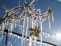 Fruit tree covered with freezers in spring