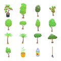 Fruit tree icons set, isometric style Royalty Free Stock Photo