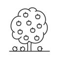 Fruit tree linear icon