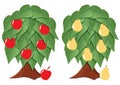 Fruit tree stylized