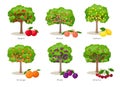Fruit trees set of illustrations in flat cartoon gesign isolated on white background, fruit trees farm icons concept