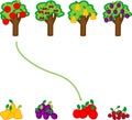 Fruit trees and their harvest