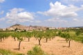 Fruit trees and the town of Calaceite, Teruel province, Aragon, Royalty Free Stock Photo