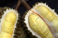 Fruit, tropical, Durian, King of tropical fruit Royalty Free Stock Photo