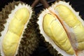 Fruit, tropical, Durian, King of tropical fruit Royalty Free Stock Photo