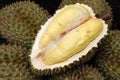 Fruit, tropical, Durian, King of tropical fruit Royalty Free Stock Photo