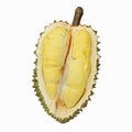 Fruit, tropical, Durian, King of tropical fruit Royalty Free Stock Photo