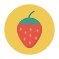 Fruit vector color flat icon Royalty Free Stock Photo
