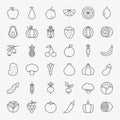 Fruit Vegetable Line Art Icons Big Set